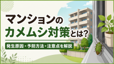 「マンションのカメムシ対策とは？」発生原因・予防方法・注意点を解説する案内画像。建物と緑の背景を含む大きな見出しのデザイン。